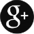 Google+